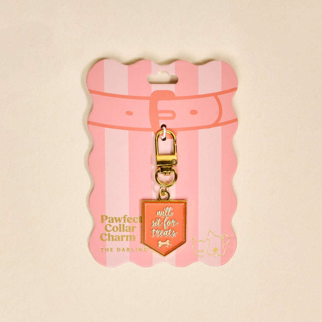 Pawfect Collar Charm–Will Sit for Treats
