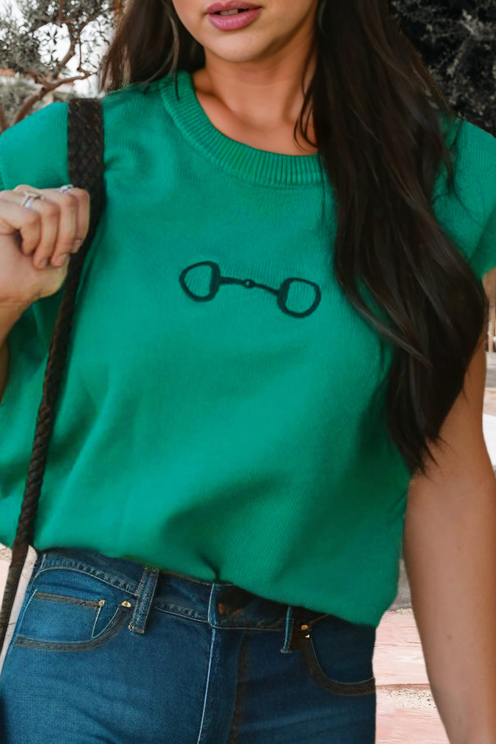 Horse Bit Embroidered Loose Short Sleeve Sweater