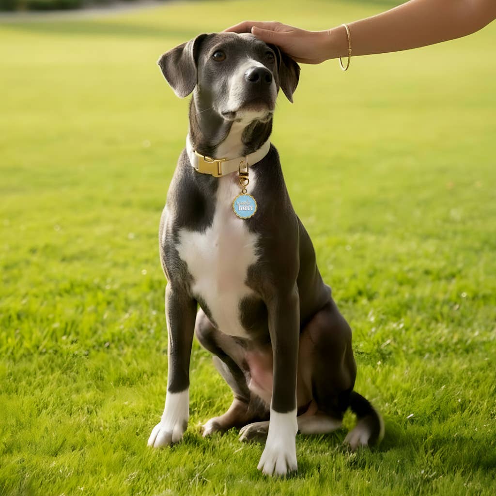 Pawfect Collar Charm–Wiggle Butt