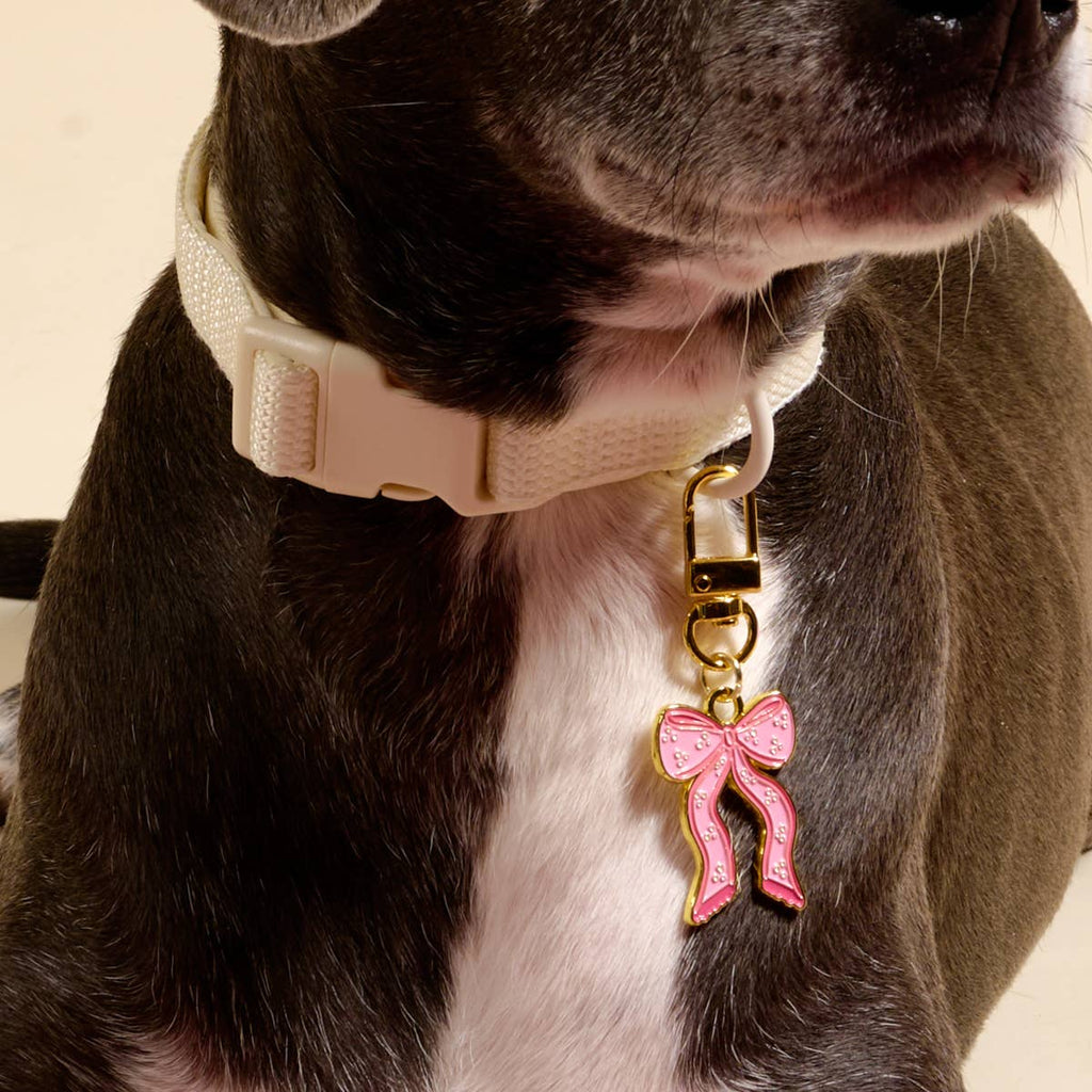 Pawfect Collar Charm–Bow Pink