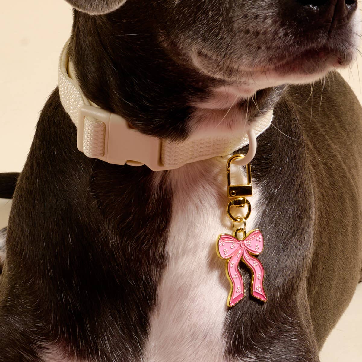 Pawfect Collar Charm–Bow Pink