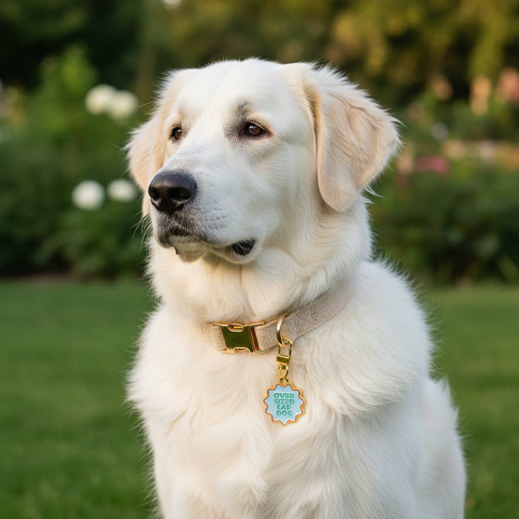 Pawfect Collar Charm–Oversized Lap Dog