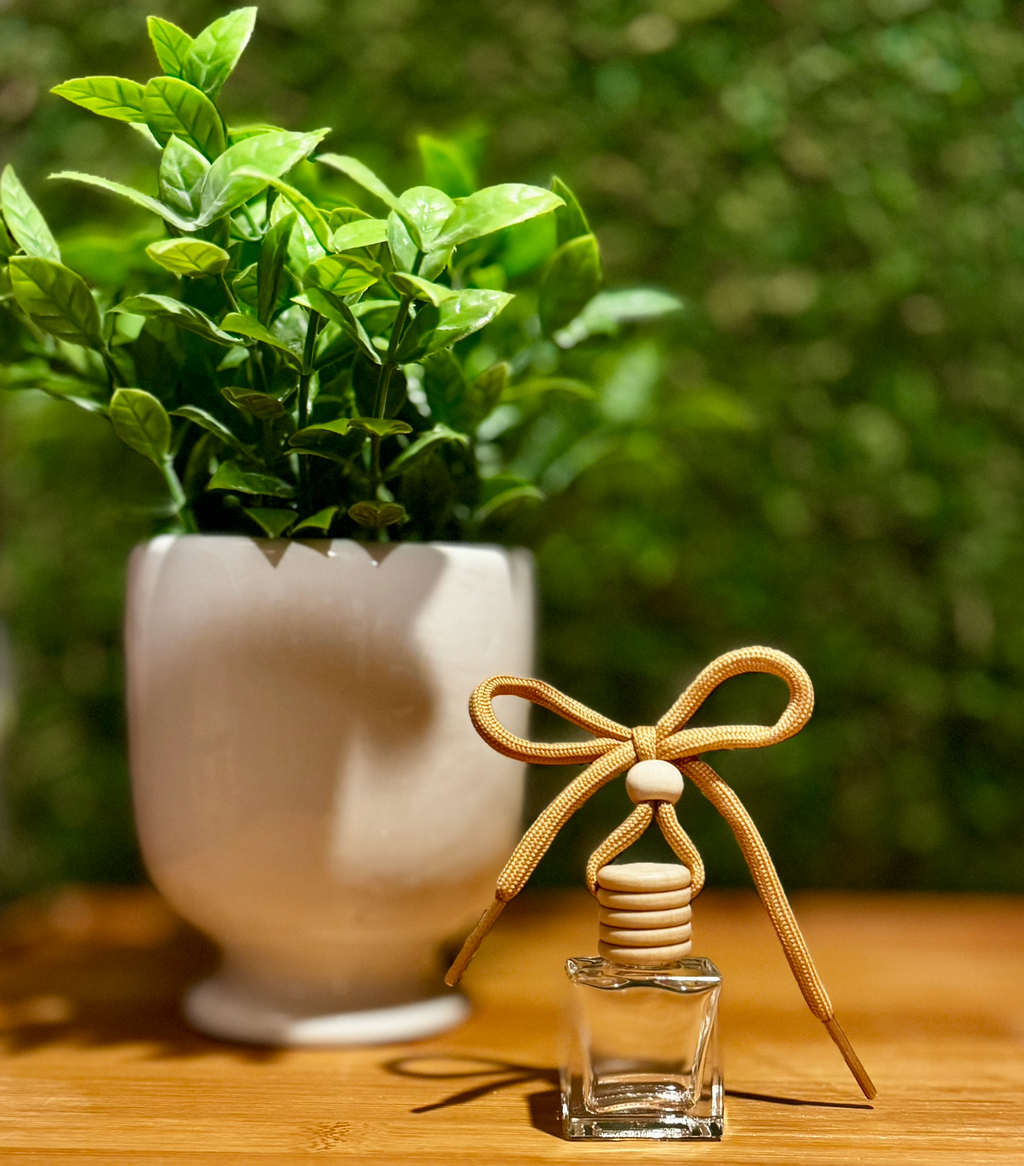 Black Raspberry Vanilla Car Diffuser