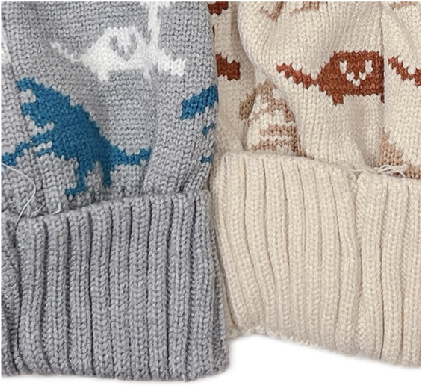 Dinosaur kid's knitted hat